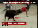 Öfkeli Boğa Acımadı