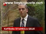 Kapibara İstanbul'a Geldi