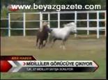 Midilliler Görücüye Çıkıyor