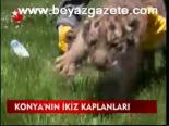 Konya'nın İkiz Kaplanları