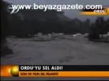 Ordu'yu Sel Aldı