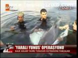 Yaralı Yunus Operasyonu