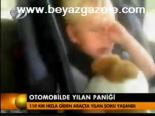 Otomobilde Yılan Paniği