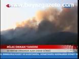 Milas Orman Yangını