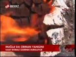 Muğla'da Orman Yangını