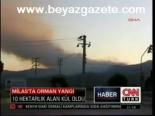 Milas'ta Orman Yangını