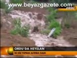 Ordu'da Heyelan