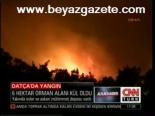 Datça'da Orman Yangını
