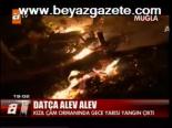 Datça Alev Alev