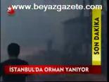 İstanbul'da Orman Yanıyor