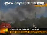 İstanbul'da Orman Yangını