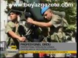 Profesyonel Ordu