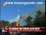 İstanbul'un Ciğeri Alev Alev