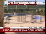 Kaddafi'nin Başına Ödül Kondu
