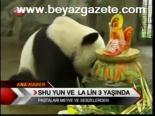 Shu Yun Ve La Lin 3 Yaşında