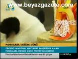 Pandalara Doğum Günü