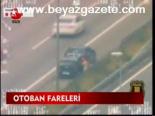 Otoban Fareleri