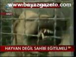 Hayvan Değil Sahibi Eğitilmeli