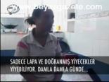 Dili Ağzına Sığmıyor