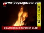 Orman İşcileri Seferber Oldu
