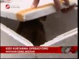 Kedi Kurtarma Operasyonu