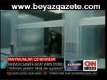Maymunlar Cehennemi