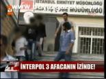 İnterpol 3 Afacanın İzinde
