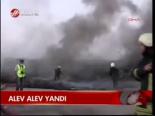 Alev Alev Yandı