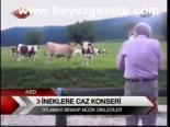 İneklere Caz Konseri