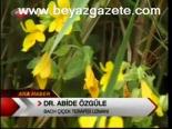 Bitkilerden Gelen Şifa