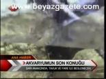 Akvaryumun Son Konuğu