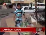 Şampiyon Hamal