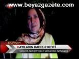 Ayıların Karpuz Keyfi
