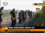 Mısır Tarlasında İnsan Avı
