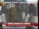 Uzman Burunlar Sınırda