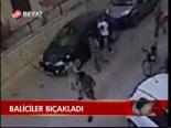 Baliciler Bıçaklandı