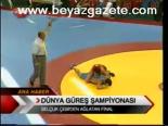 Dünya Güreş Şampiyonası