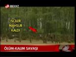 Ölüm Kalım Savaşı