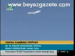 Van'da Flamingo Festivali