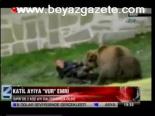 Katil Ayıya Vur Emri