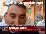 Katil Ayı Alarmı!