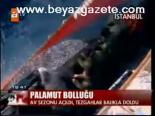 Palamut Bolluğu