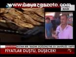 Herkes Balığa Doğacak