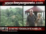30 Metre Yükseklikte Kamelya