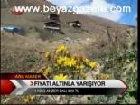 Fiyatı Altınla Yarışıyor