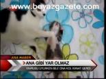 Ana Gibi Yar Olmaz