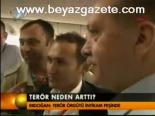 Terör Neden Arttı?