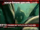 Piranalar Tatilcilere Saldırdı