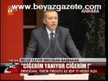 Ciğerim Yanıyor Ciğerim !