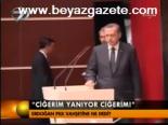 'Ciğerim Yanıyor Ciğerim!'